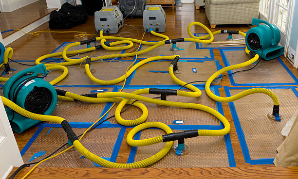 Professional Structural Drying And Dehumidification technician working in Venice, IL